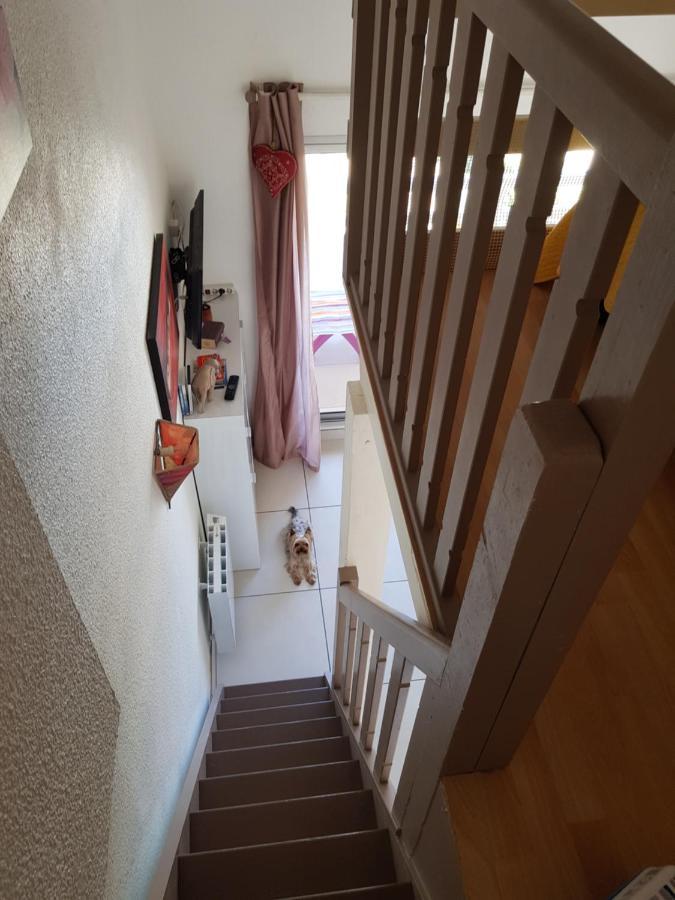 Les Hauts D'Azur Saint-Pierre-la-Mer  Eksteriør billede